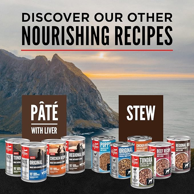 ORIJEN Real Meat Shreds, Grain-Free, Regional Stew, Premium Wet Dog Food