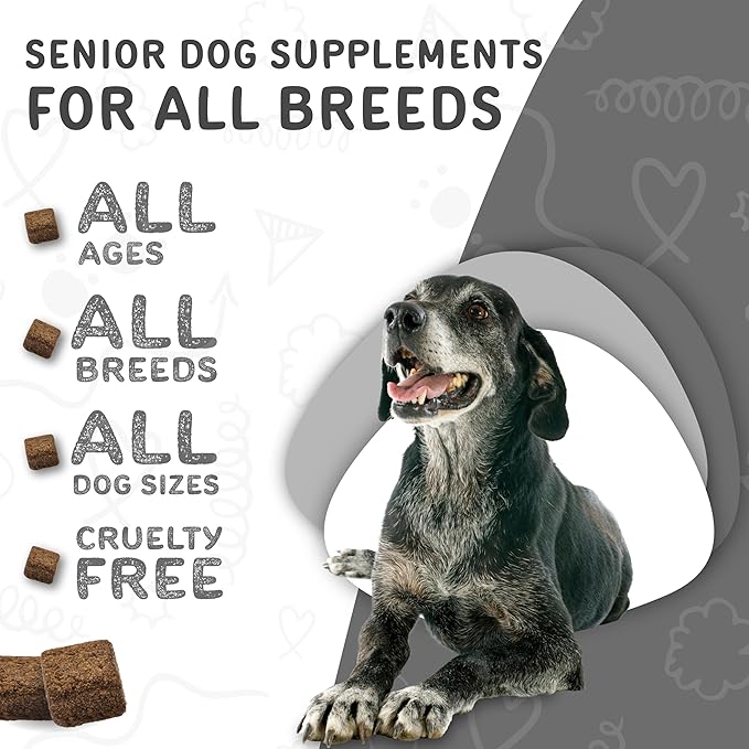 waggedy Daily Essentials Senior Soft Chews with Glucosamine — Pet Supplies for Digestion and Joint Health — Dog Multivitamin Treats for Overall Defense — Dog Vitamins and Supplements (60 Chews)