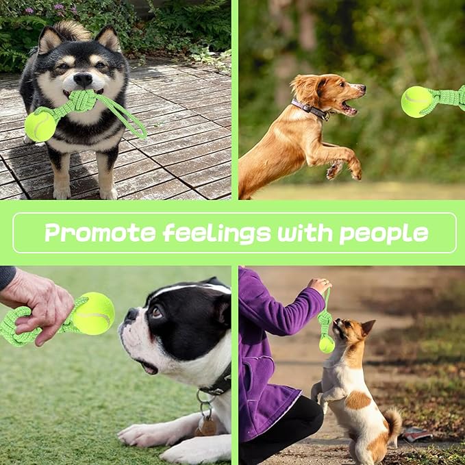 Dog Rope Toy for Medium and Small Dogs Interactive Puppy Toys Tug of War Rope Tether Tug Outdoor Dog Toy 1 Knot Puppy Teething Chew Cotton with Tennis Ball
