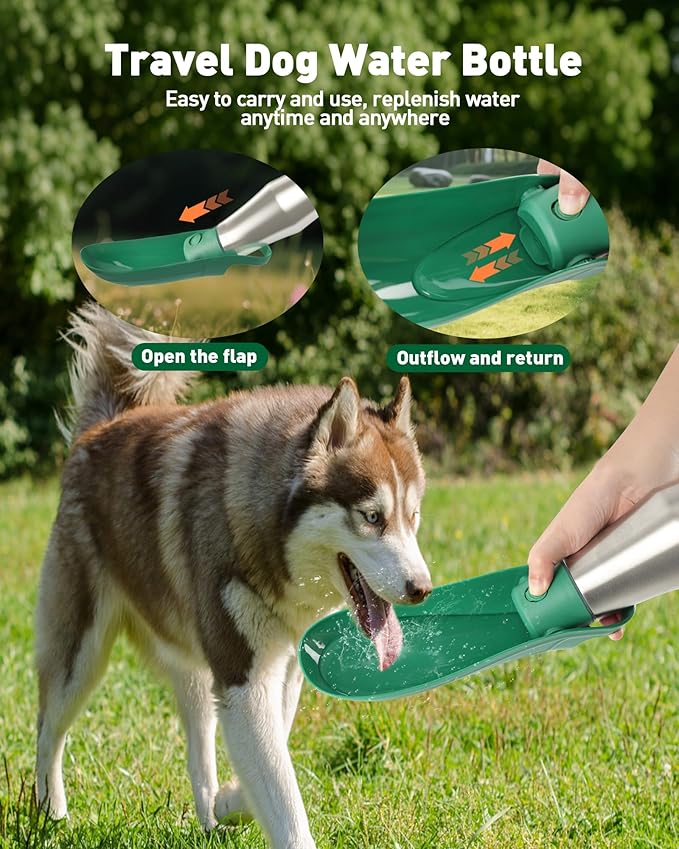 Portable Dog Water Bottle Bowl - 27 oz Travel Water Bowl Dispenser for Dogs, Stainless Steel Leak-Proof, A Must-Have for Outdoor, Camping, Walking, Beach, Hunting and Other Scenes (Green)