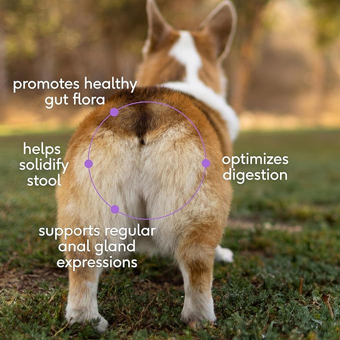 Native Pet WonderGland - Dog Anal Gland Treatment Using Fiber for Dogs - Prevents Scooting for Dogs Anal Gland Supplement Including Dog Gut Health Probiotics for Anal Gland Support - 60 Scoops