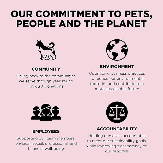 Go! Solutions Sensitivities Limited Ingredients, Grain-Free Dry Dog Food, Small Bites Salmon Recipe for Sensitive Stomach, 6 lb Bag