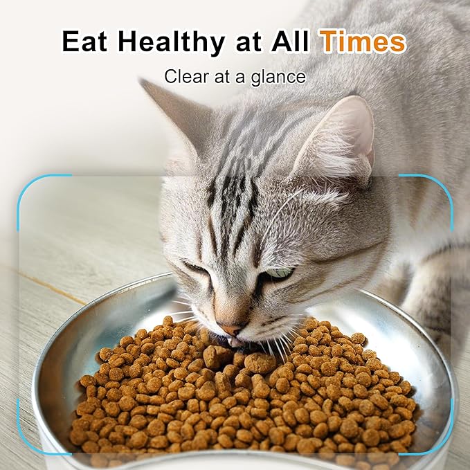 6L AI Automatic Cat Feeder with Dual Camera, 1080P HD Night Vision & Dual Power Supply, Easy Setup Timed Food Dispenser with Desiccant Bag for Cats & Dogs, 5G WiFi Pet Feeder with 2-Way Audio