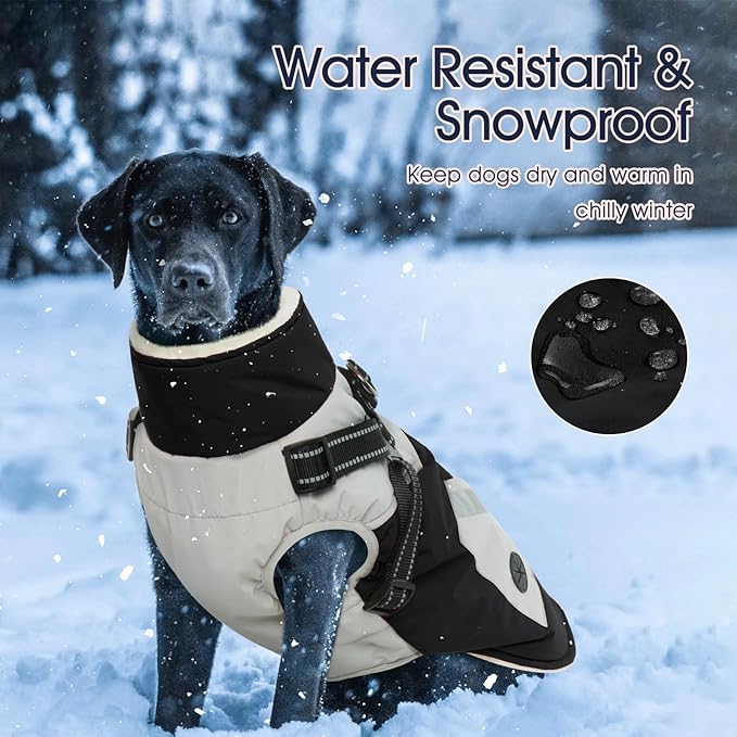 IECOii Dog Winter Coat Waterproof - Black, Medium - Dog Coat with Harness Built in for Medium Dogs, Thermal Warm Fleece Lined with Zip Up Cold Weather Jacket, Reflective Snowsuit for Outdoor Hiking