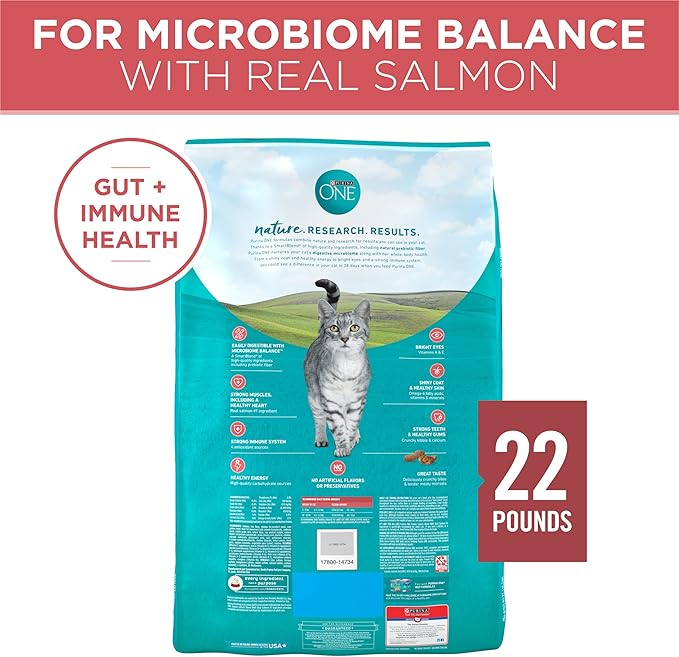 Purina ONE Natural Dry Cat Food, Tender Selects Blend with Real Salmon - 22 lb. Bag