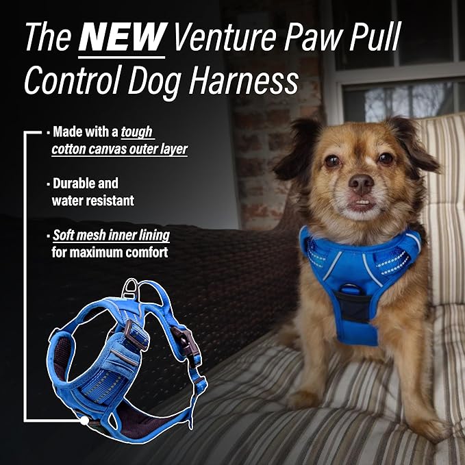 Doggie Design Venture Paw No Pull Dog Harness - Simple Adjustable Puppy Harness - Anti Pull Dog Collar for Walks and Outdoor Adventures - Mountain Lake, S
