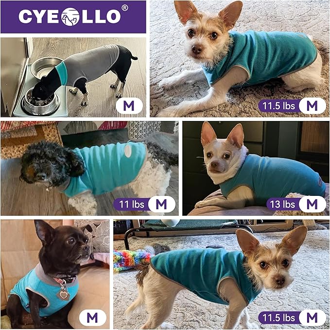 cyeollo 2 Pack Dog Sweatshirts Fleece Jacket with Reflective Stripe Pullover Stretchy Doggie Sweater Soft Pet Clothes Lightweight Dog Sweaters for Small Dogs Turquoise & Grey