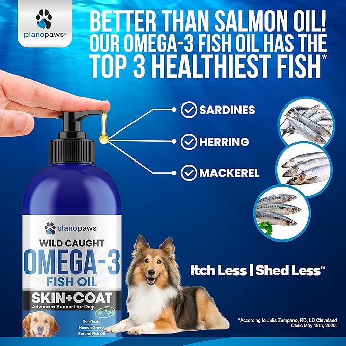 Omega 3 Fish Oil for Dogs - Better Than Salmon Oil - Dog Fish Oil Supplement to Reduce Shedding & Itching - Supports Joints, Brain, and Heart Health - Skin and Coat Supplement - Liquid Fish Oil