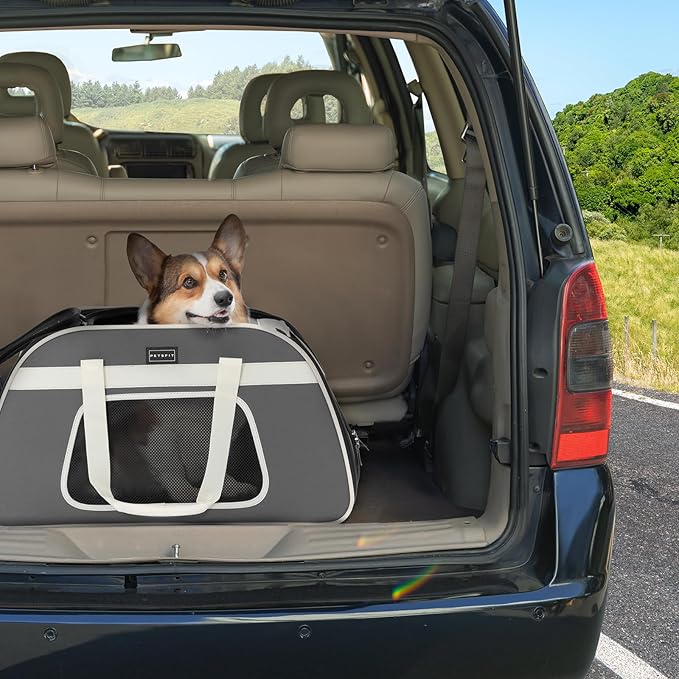 PETSFIT Large Pet Carrier with Wheels Designed for 2 Small Dogs/Multiple Kittens/Medium Dogs with Adjustable Safety Rope & Waterproof Bottom(𝑵𝒐𝒕 𝒂𝒊𝒓𝒍𝒊𝒏𝒆 𝒂𝒑𝒑𝒓𝒐𝒗𝒆𝒅)