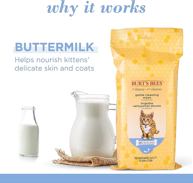 Burt's Bees for Pets Kitten Wipes with Buttermilk - Pet Wipes for Cats Waterless Bathing & Cleaning, Kitten Essentials for Indoor Kittens, Gentle Cat Grooming Wipe for Face, Paws & Butt, 50 Count