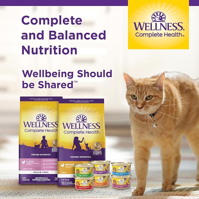 Wellness Complete Health Pate Adult Wet Cat Food, Natural, Protein-Rich, Grain-Free, 3 Ounce, 24 Pack, (Chicken & Turkey Variety Pack)