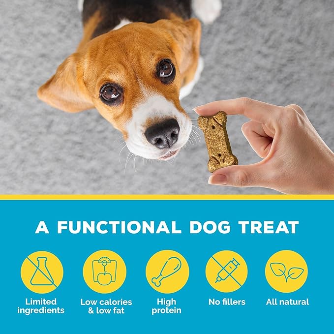 Brutus Bone Broth Biscuits (Beef) - Healthy Treats - Natural Dog Biscuits with Bone Broth and Real Beef for Healthy Joints - 18 Grams of Protein - 8 OZ (Pack of 6)