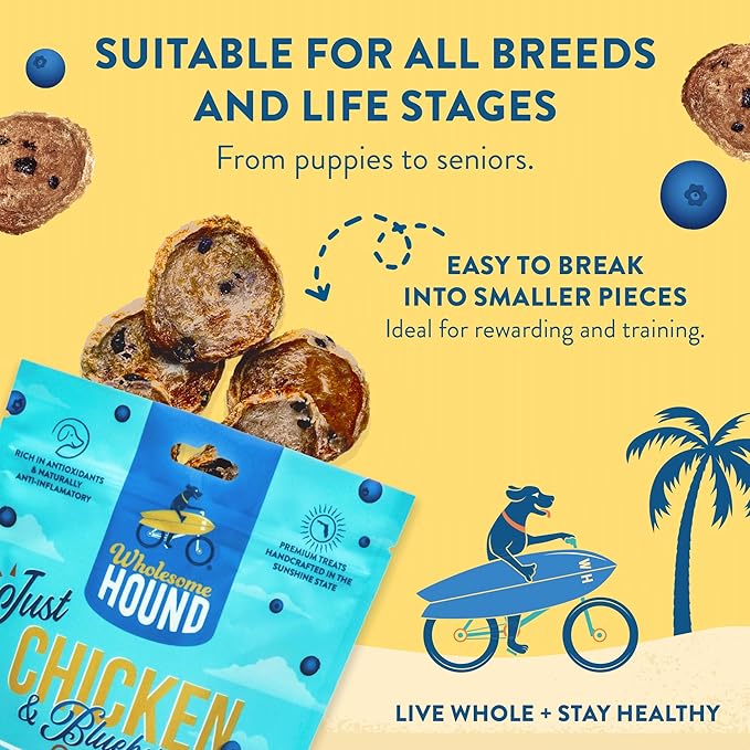 Just Chicken & Blueberry Chips | Two Premium Ingredient & Healthy Dog Treats Rich in Antioxidants | All Natural Canine Rewards | All Breed Sizes Dog Training Treats | Made in USA - 3oz