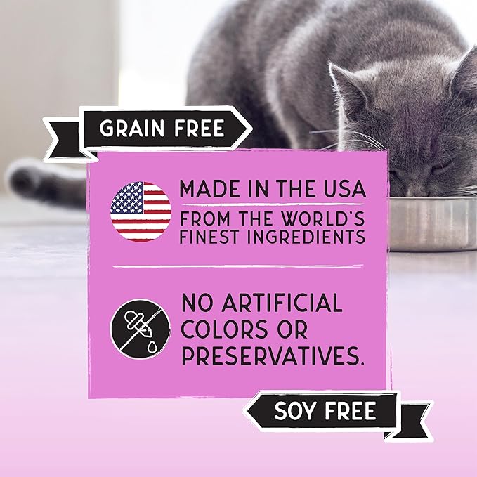 Blackwood Bounty Dry Cat Food, Red Meat Recipe for All Life Stages, 2 Pound Bag, High Protein, Grain Free