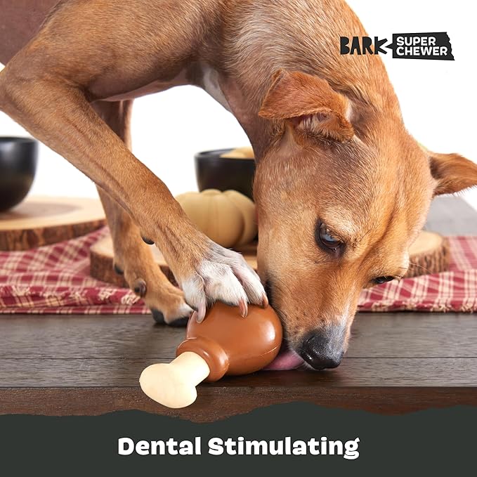 Barkbox Super Chewer Tough Dog Chew Toys for Aggressive Chewers, Dental Stimulating (Turkey - Small)