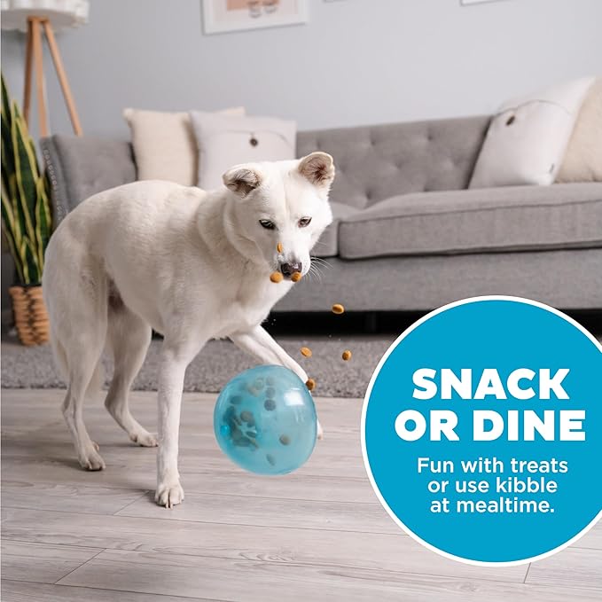 Outward Hound Large Snoop Interactive Treat Dispensing Dog Toy, Puzzle Ball Slow Feeder for Medium to Large Dogs, Mint-Scented for Mental Stimulation & Boredom Relief, BPA-Free, 5-Inch, Blue