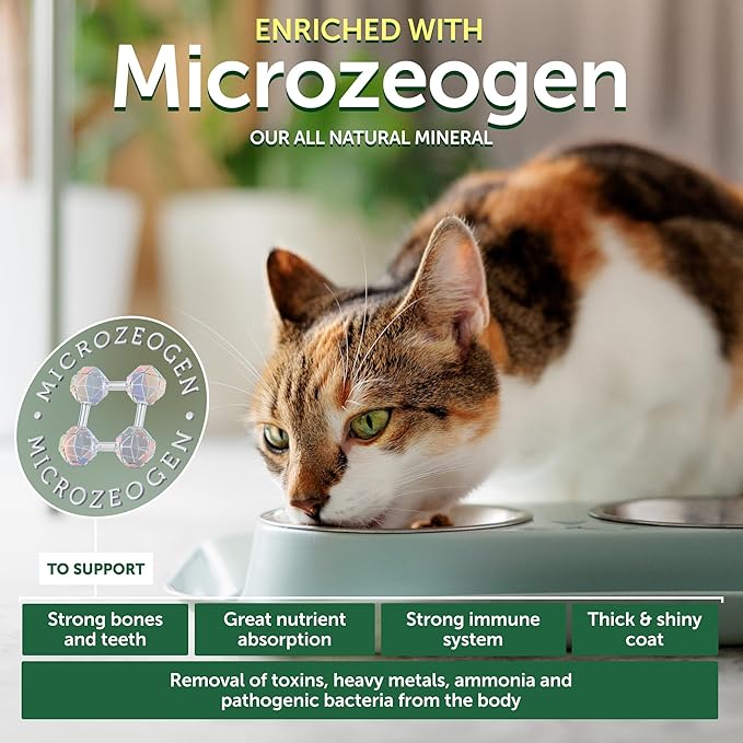 Nature's Protection Dry Cat Food - Adult Light Coated Cat Hard Kibble, Grain-Free Healthy Nutrition Indoor & Outdoor Hairball Care for Cats, 14.11 oz Bag