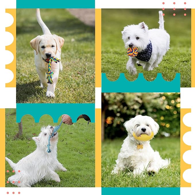 Zeaxuie 23 Pack Luxury Puppy Toys for Teething, Cute Small Dog Toys with Rubber Puppy Chew Toys, Treat Ball, Ropes and Plush Squeaky Dog Toys