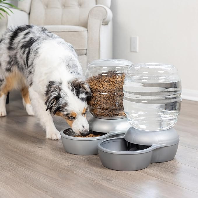 Petmate Replendish Automatic Gravity Waterer for Cats and Dogs, BPA-Free, No Batteries Required, Includes Charcoal Filter, 2.5 Gallons, Made in USA,Silver