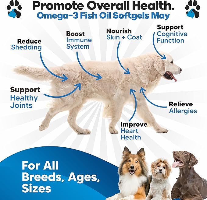 Omega 3 Fish Oil for Dogs Capsules - Salmon Oil for Dogs - Dog Fish Oil Supplement May Help Shedding, Allergy, Itching - Support Dry Skin, Joints - Dog Skin and Coat Supplement - 180 Fish Oil Pills