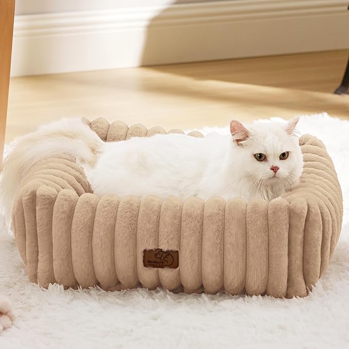 Bedsure Cute Dog Bed for Small Dogs & Cats - Washable Furry Puppy Beds, Rectangle Orthopedic Corduroy Fleece Pet Beds with Removable Zipper Cover, 20x19x6inches, Sandy Tan