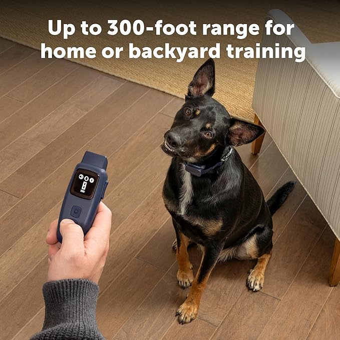 PetSafe Basic Dog Trainer with Remote – Waterproof Training Collar – 300 ft Range – Tone, Vibration and Eight Levels of Static