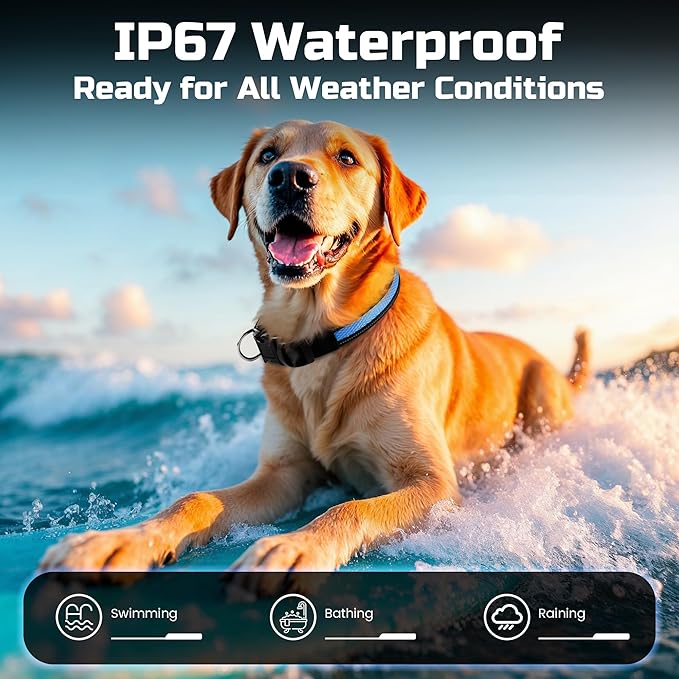 Light Up Dog Collar Rechargeable, LED Glow Collar in Dark with 3 Flash Mode for Outdoor Night Walking Visible Safe, Adjustable Waterproof Dog Light for Small Medium Large Breed, Blue, L