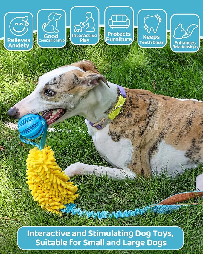 Dog Tug of War Toy, Interactive Chew Toy for Fun and Teeth Cleaning, Soft Nubby-Textured Noodle Plush with Rubber Ball, Dog Rope Toys for Training Small, Medium Large Dogs