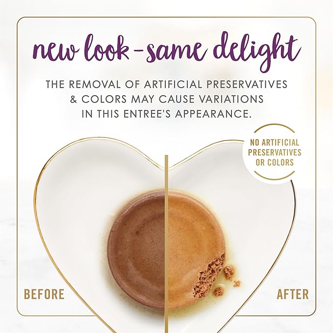 Purina Fancy Feast Senior Wet Cat Food 7 Years Plus Beef Feast Pate - (Pack of 24) 3 oz. Cans