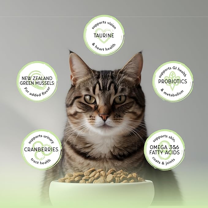 Blackwood Bounty Dry Cat Food, Whitefish & Lentil Recipe for All Life Stages, 4.5 Pound Bag, High Protein, Grain Free