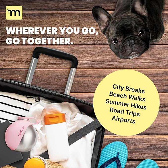 Malsipree 2-in-1 Portable Dog Water Bottle & Bowl for Small Dogs - Leak Proof & Insulating - Travel Water Dispenser - Stainless Steel Bottle & Silicone Bowl - Walking & Hiking (10 fl oz, Pink)