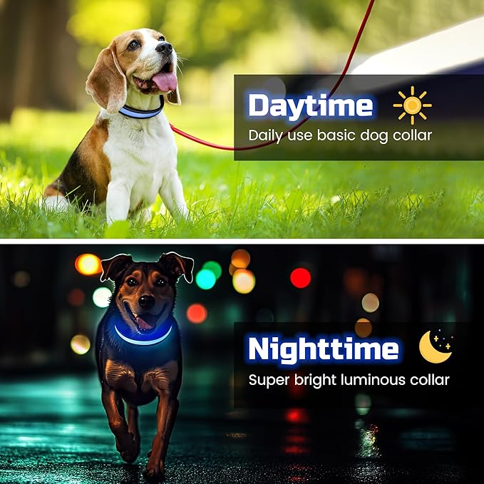 Light Up Dog Collar Rechargeable, LED Glow Collar in Dark with 3 Flash Mode for Outdoor Night Walking Visible Safe, Adjustable Waterproof Dog Light for Small Medium Large Breed, Blue, L