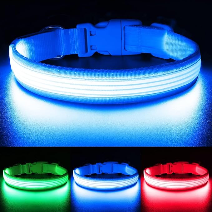 YFbrite Light up Dog Collar, USB Rechargeable LED Puppy Collar Super Bright Adjustable Glowing Dog Lights for Night Walking (Design-2- Blue, Medium)