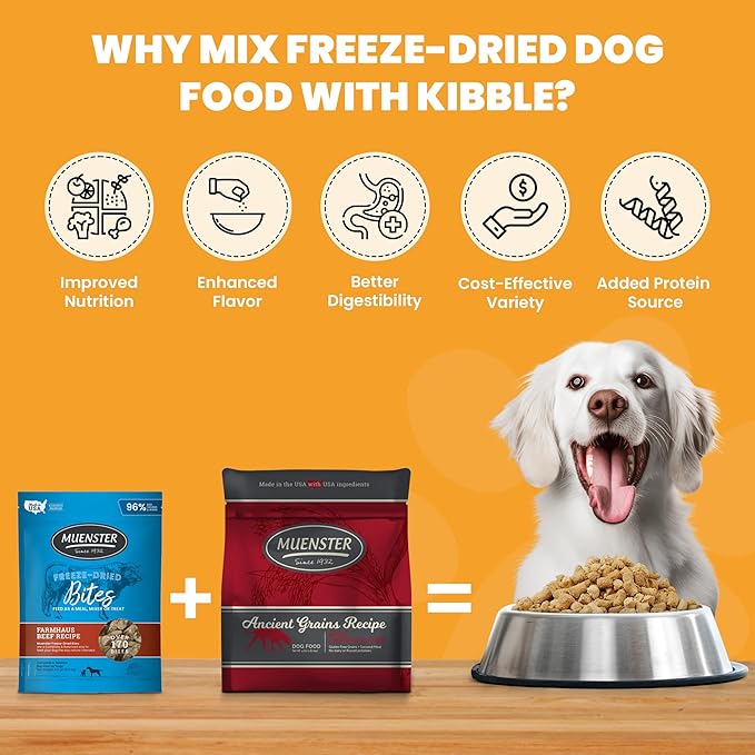 Muenster Ancient Grains Chicken Dry Dog Food, 22lb - Gluten-Free, High Protein, Digestive Support