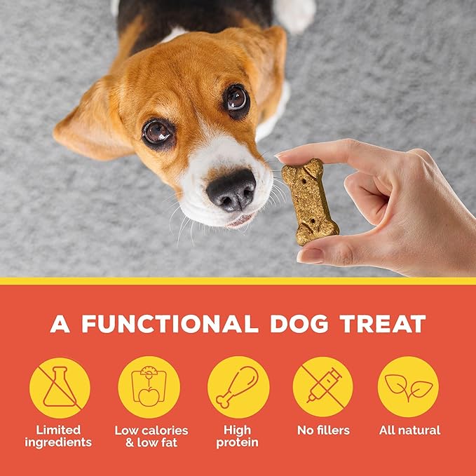 Brutus Bone Broth Biscuits (Pork and Apple) - Natural Treats - Healthy Dog Biscuits with Real Pork, Bone Broth and Apple for Healthy Joints - 18 Grams of Protein - 8 OZ (Pack of 6)