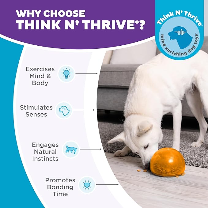 Outward Hound Large Snoop Interactive Treat Dispensing Dog Toy, Puzzle Ball Slow Feeder for Medium to Large Dogs, Mint-Scented for Mental Stimulation & Boredom Relief, BPA-Free, 5-Inch, Orange