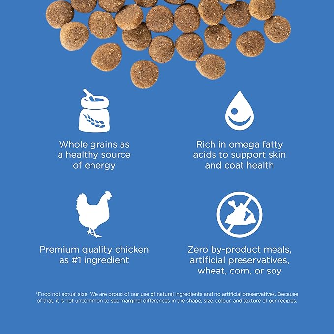 Go! Solutions Skin + Coat Care, Dry Dog Food, Chicken Recipe with Grains, 3.5 lb Bag