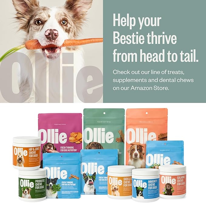 Ollie Chicken and Apple Jerky Dog Treats, 5 oz Pack of 1, All Natural, Healthy Snacks, Made with Real Meat, Human Grade, for Dogs