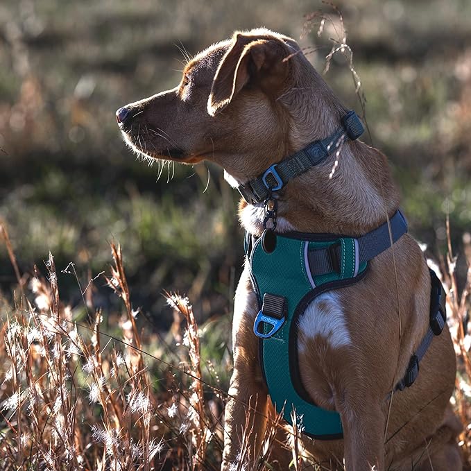 Embark Adventure Dog Harness, Reflective Trim No Pull Dog Harness for Large Dogs - Military Grade Nylon, Front Clip with Gel Lined Handle.