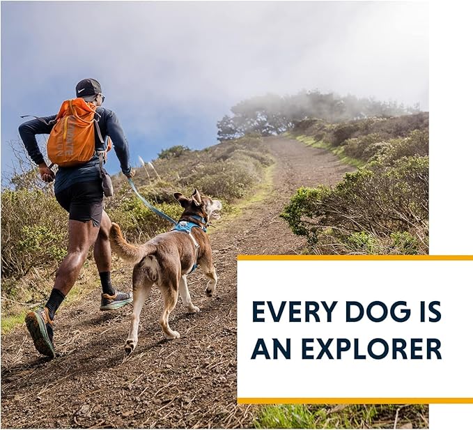 Ruffwear, Hi & Light, Everyday Lightweight Dog Harness, Trail Running, Walking, Hiking, All-Day Wear, Lichen Green, Medium