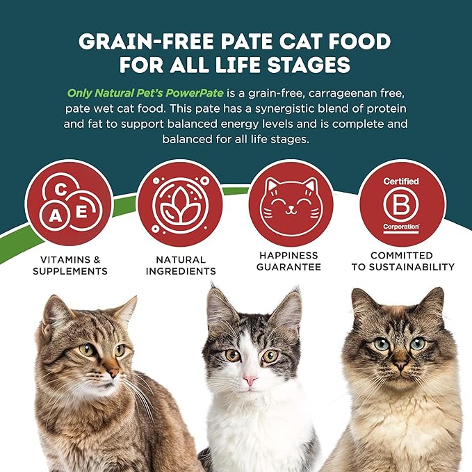 Only Natural Pet PowerPate Grain-Free Wet Cat Food - High Protein, Limited Ingredient Pate for Wellness (Chicken & Turkey, Rabbit & Pork, Chicken Dinner) Variety Pack, 2.75 oz Cans, Case of 12 (V)