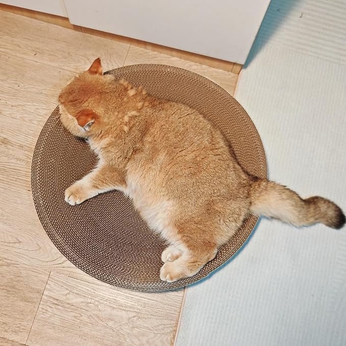 4 Pack Extra Large Cat Scratcher Cardboard, Round Scratcher Bed Scratch Bowl, Scratching Lounge Couch Round Shaped Cat Scratch Board Nest for Indoor Cats Furniture Protector