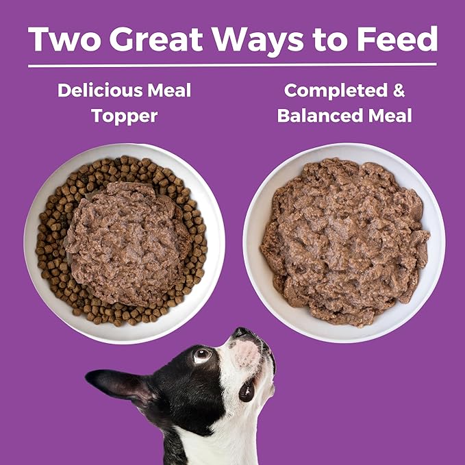 KOHA Limited Ingredient Diet Kangaroo Entrée for Dogs - Grain Free Wet Dog Food with No Fillers - Sesnsitive Stomach Kangaroo Dog Food - 13 oz Pack of 12