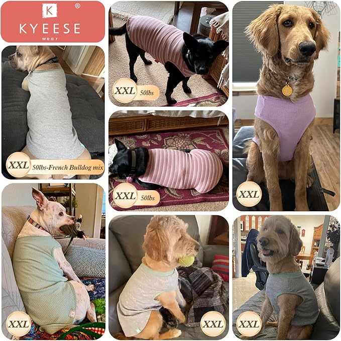 KYEESE 2Pack Dog T Shirts Waffle Stretchy T-Shirts Lightweight Tank Top Sleeveless Vest Breathable Pet Apparel, XX-Large, Blue+Grey