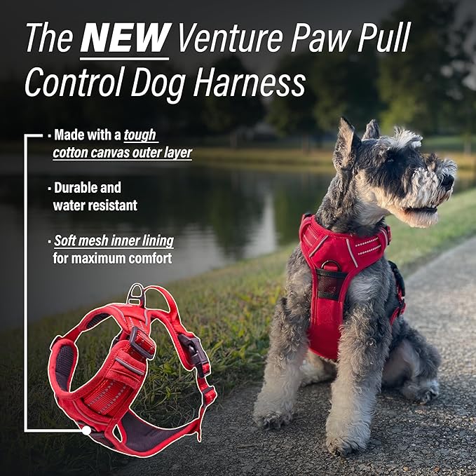 Doggie Design Venture Paw No Pull Dog Harness - Simple Adjustable Puppy Harness - Anti Pull Dog Collar for Walks and Outdoor Adventures - Crimson, M