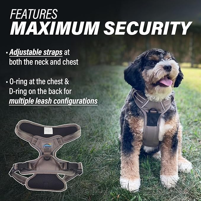Doggie Design Venture Paw No Pull Dog Harness - Simple Adjustable Puppy Harness - Anti Pull Dog Collar for Walks and Outdoor Adventures - Dried Sage, M