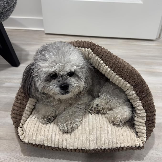 SPOT Sleep Zone Cuddle Cave - Cat Cave Bed for Indoor Cats and Mini Dogs, Durable, Comfortable, Washable for Kittens and Puppies under 10 lbs and 12 inches Long, Corduroy Brown