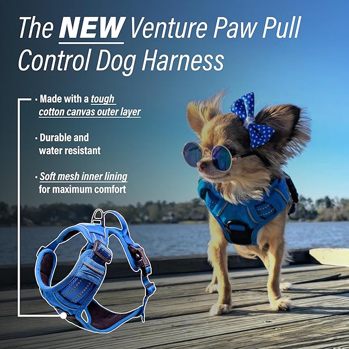 Doggie Design Venture Paw No Pull Dog Harness - Simple Adjustable Puppy Harness - Anti Pull Dog Collar for Walks and Outdoor Adventures - Mountain Lake, XS