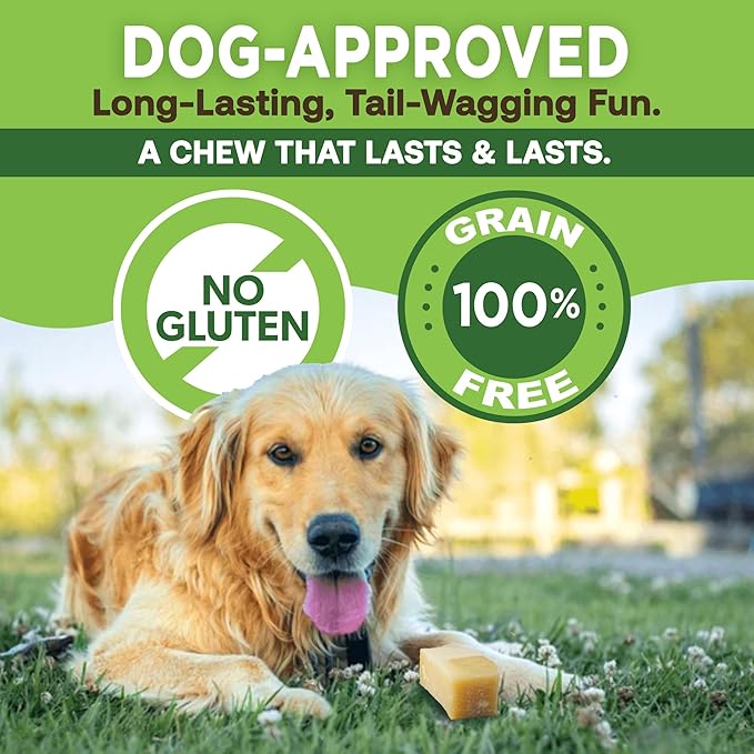 EcoKind Premium Gold Monster Yak Cheese Himalayan Dog Chew, Dog Treats Large Breed, All Natural, High Protein, for Aggressive Chewers, XL - 3 Chews