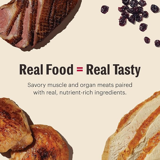 The Honest Kitchen Grain Free Minced Turkey, Chicken & Duck in Bone Broth Gravy Wet Cat Food, 2.8 oz x12